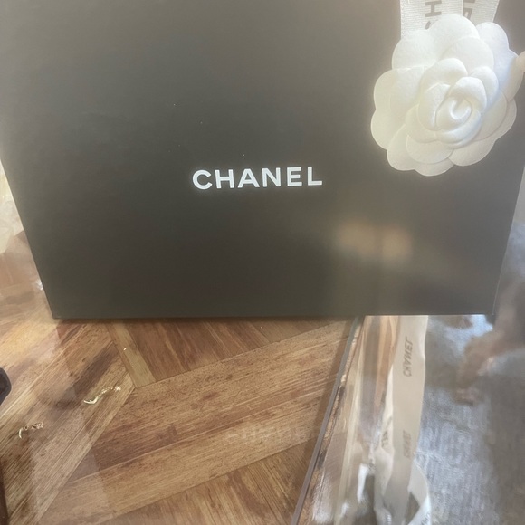 Vintage Chanel 19 Wallet on Chain. Brand new - Picture 12 of 16